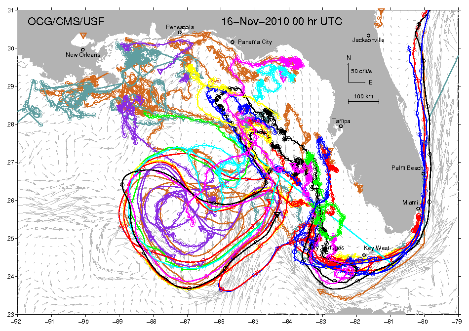 global ocean currents animation