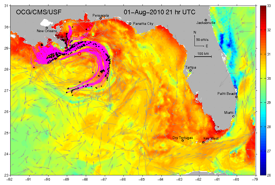 ocean currents animation. See animation update here (18